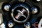 2010_mustang_detail_e4.jpg (132kb)