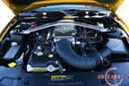 2010_mustang_detail_f1.jpg (170kb)