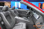 mustang_autoshow_i7.jpg (127kb)