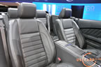 mustang_autoshow_j1.jpg (130kb)