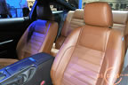 mustang_autoshow_q7.jpg (127kb)