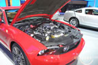 mustang_autoshow_r1.jpg (158kb)