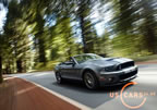 shelby_gt500_a5.jpg (156kb)