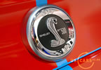 shelby_gt500_h4.jpg (152kb)