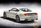 mustang_50_years_a6.jpg (182kb)