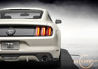 mustang_50_years_a8.jpg (133kb)