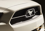 mustang_50_years_b1.jpg (113kb)