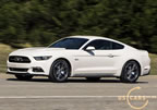 mustang_50_years_d6.jpg (157kb)