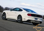 mustang_50_years_d8.jpg (174kb)