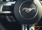 2015_mustang_innen_b8.jpg (144kb)