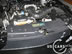 shelby_d_2.jpg (72kb)