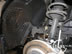 shelby_d_5.jpg (59kb)