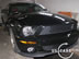 shelby_e_2.jpg (53kb)