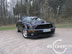 shelby_e_7.jpg (78kb)