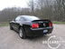 shelby_g_1.jpg (68kb)