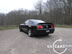shelby_g_2.jpg (64kb)