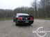 shelby_g_3.jpg (61kb)