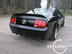 shelby_g_4.jpg (72kb)