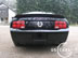 shelby_g_5.jpg (73kb)