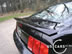 shelby_g_7.jpg (75kb)