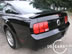 shelby_g_9.jpg (68kb)