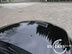 shelby_h_3.jpg (53kb)
