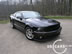 shelby_h_6.jpg (67kb)