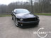 shelby_h_7.jpg (66kb)