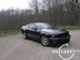 shelby_h_8.jpg (67kb)