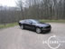 shelby_i_1.jpg (70kb)