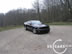 shelby_i_2.jpg (65kb)