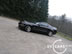 shelby_i_3.jpg (61kb)