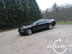 shelby_i_4.jpg (66kb)