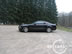 shelby_i_5.jpg (65kb)