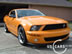 shelby_i_7.jpg (57kb)