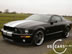 shelby_j_2.jpg (51kb)