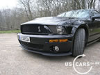 shelby_f_5.jpg (76kb)