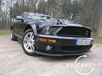 shelby_f_7.jpg (78kb)