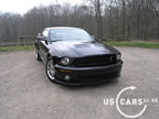 shelby_h_7.jpg (66kb)
