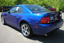 mustang-svt-cobra-03-c.JPG (52kb)